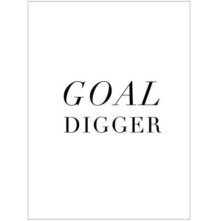 GOAL DIGGER