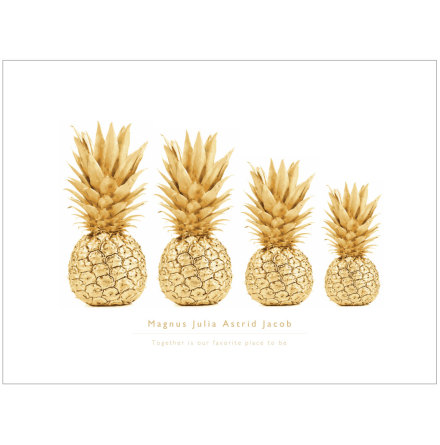 FAMILJETAVLA ANANAS