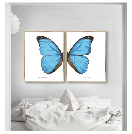 PARPOSTERS - BUTTERFLY