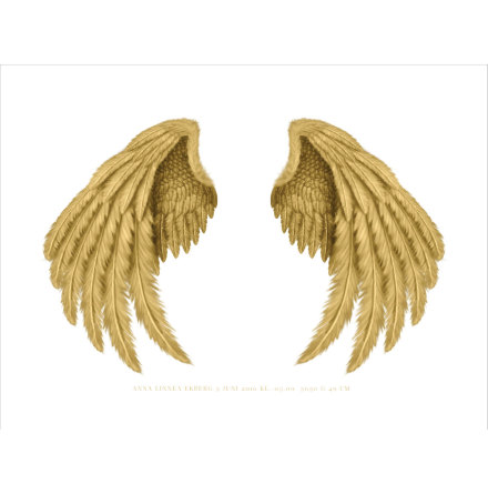 GOLDEN WINGS
