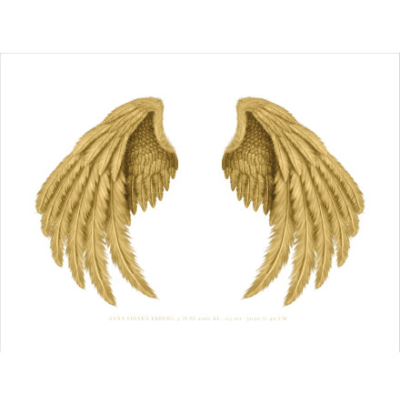 GOLDEN WINGS