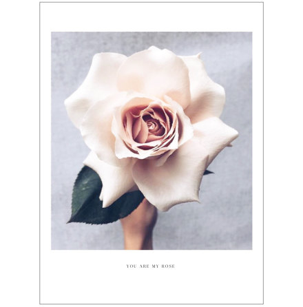 BIG ROSE ARTPRINT