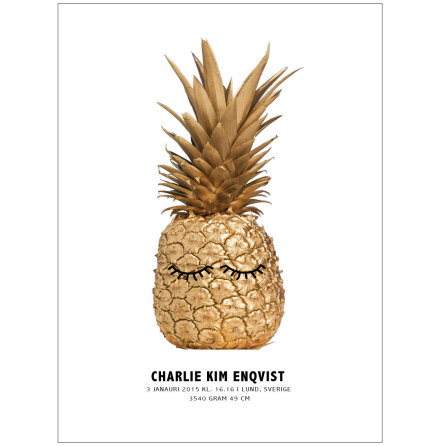 SOVANDE ANANAS NAMNTAVLA FDELSETAVLA DOPTAVLA