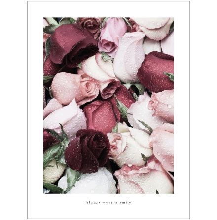 ARTPRINT ROSE GARDEN POSTER MED ROSOR