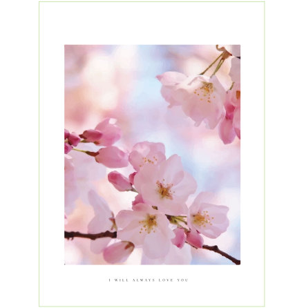 CHERRY BLOOM FLOWER ARTPRINT