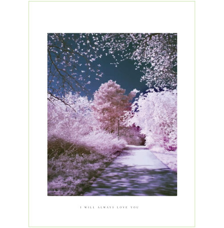 CHERRY WALK ARTPRINT