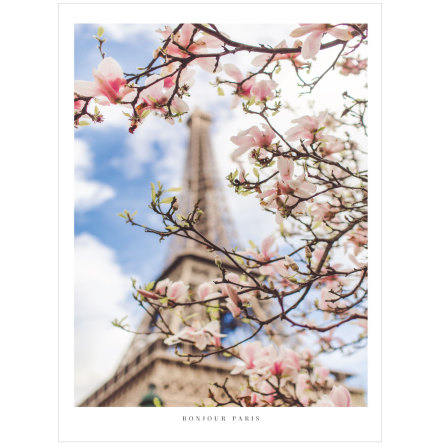 FOTOKONST PARIS SPRING FLOWERS