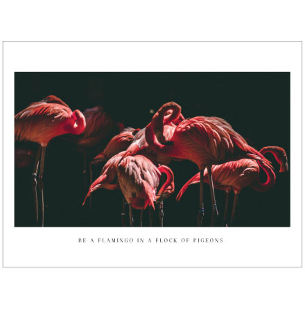 FOTOKONST - FLAMINGOS